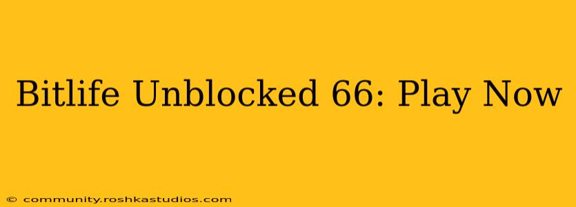 Bitlife Unblocked 66: Play Now